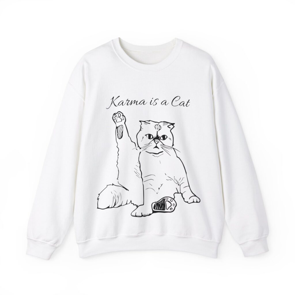 Taylor Swift sweatshirt Karma is a Cat